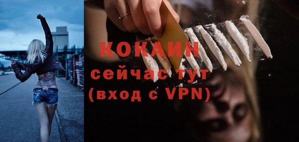 2c-b Горняк