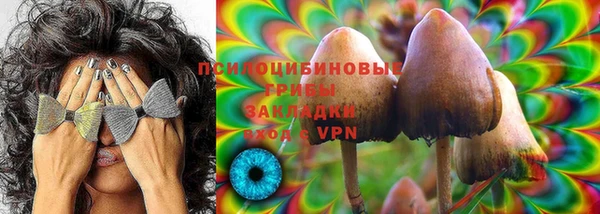 хмурый Горнозаводск