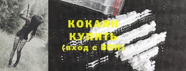 2c-b Горняк