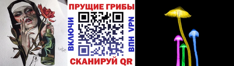 ссылка на мегу сайт  Мглин  Галлюциногенные грибы GOLDEN TEACHER  купить наркотики цена 